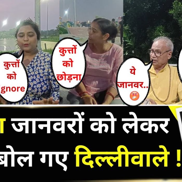 What’s REALLY Happening to Stray Dogs in Delhi NCR | सुनकर आप भी रह जाएंगे हैरान ! Delhi NCR Dogs